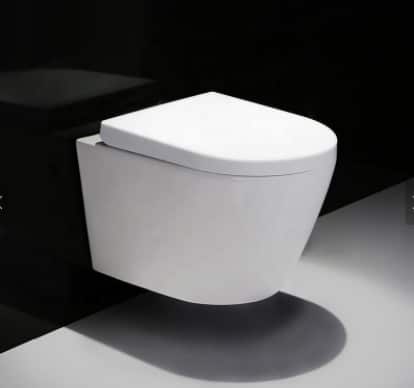 Hanging Toilet