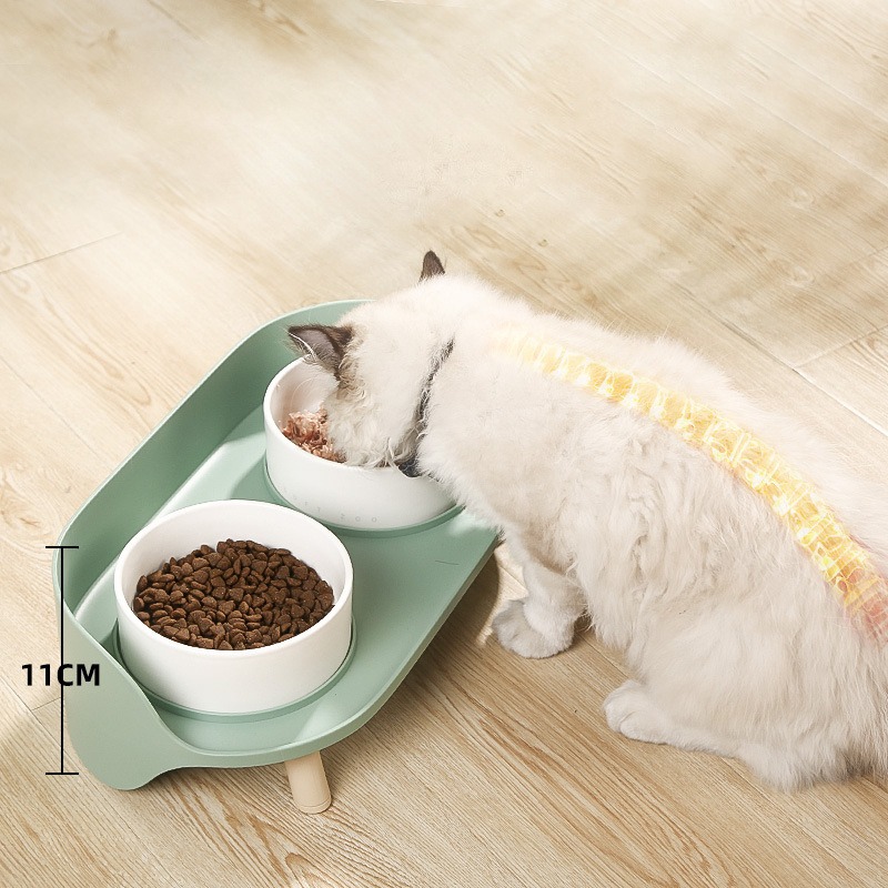Tilted Elevated Pet Bowl – Double Food & Water Bowls for Cats & Dogs