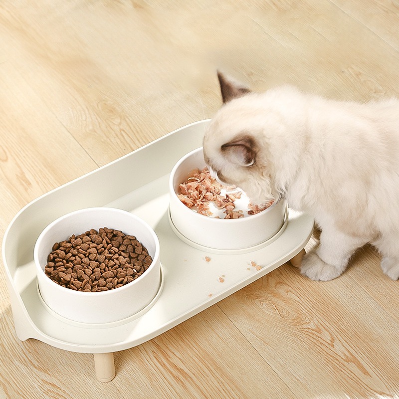 Tilted Elevated Pet Bowl – Double Food & Water Bowls for Cats & Dogs - Image 5